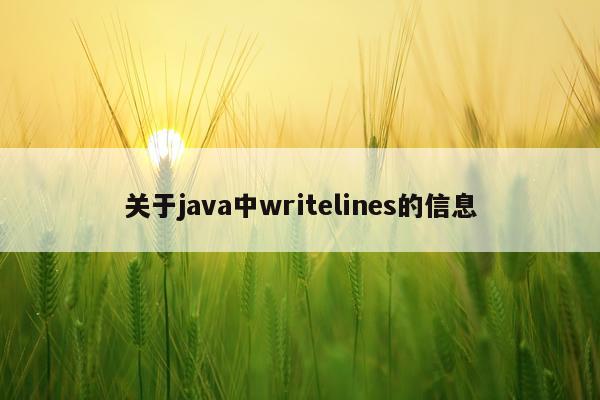 关于java中writelines的信息
