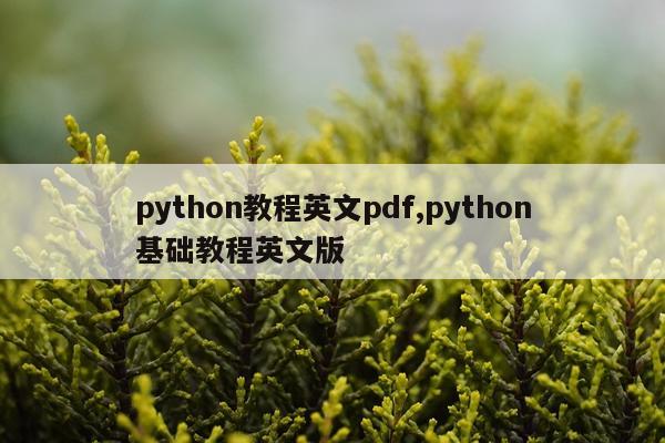 python教程英文pdf,python基础教程英文版