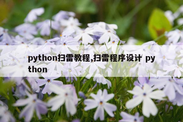 python扫雷教程,扫雷程序设计 python