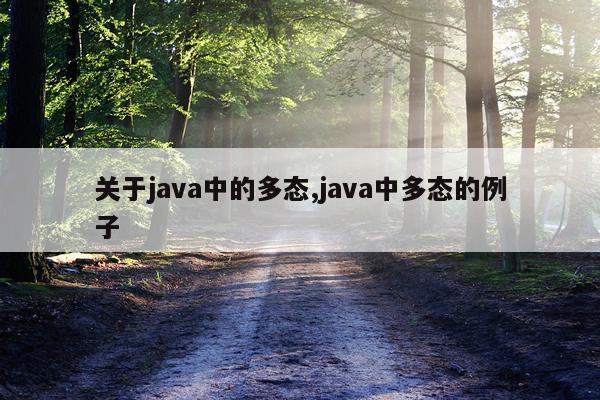 关于java中的多态,java中多态的例子