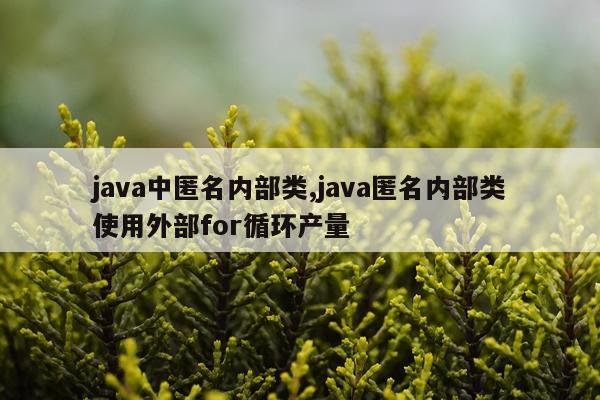 java中匿名内部类,java匿名内部类使用外部for循环产量