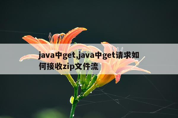 java中get,java中get请求如何接收zip文件流