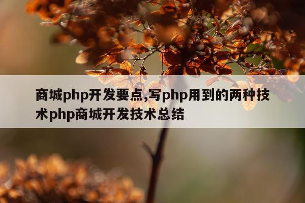 商城php开发要点,写php用到的两种技术php商城开发技术总结