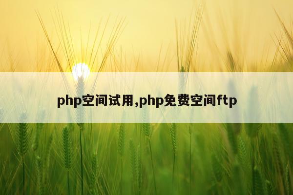 php空间试用,php免费空间ftp