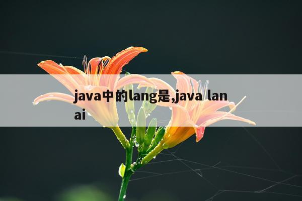 java中的lang是,java lanai
