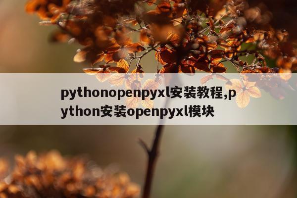 pythonopenpyxl安装教程,python安装openpyxl模块