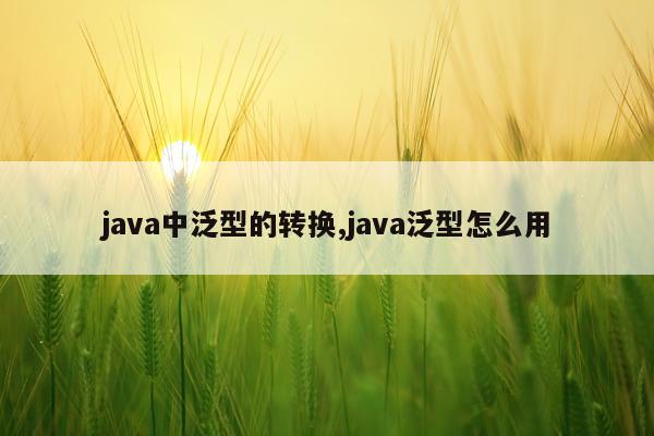 java中泛型的转换,java泛型怎么用