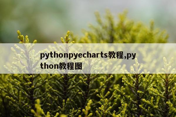 pythonpyecharts教程,python教程图
