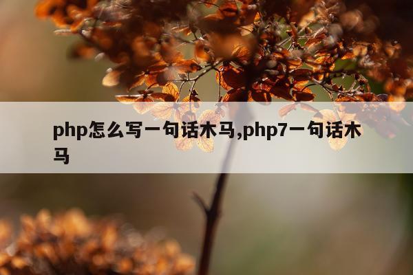 php怎么写一句话木马,php7一句话木马
