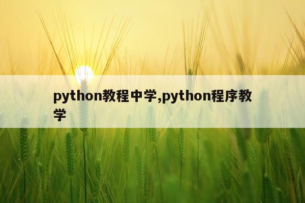python教程中学,python程序教学