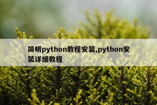 简明python教程安装,python安装详细教程