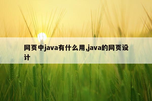 网页中java有什么用,java的网页设计