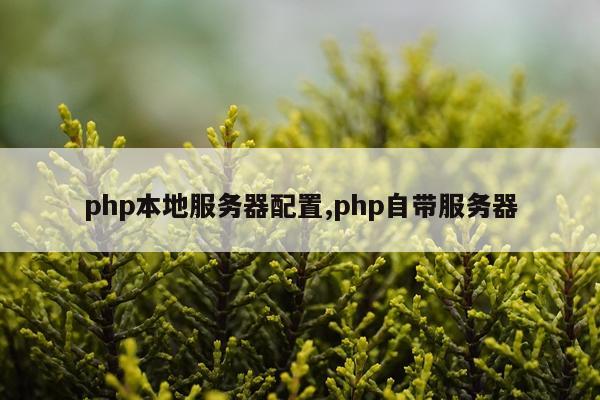 php本地服务器配置,php自带服务器