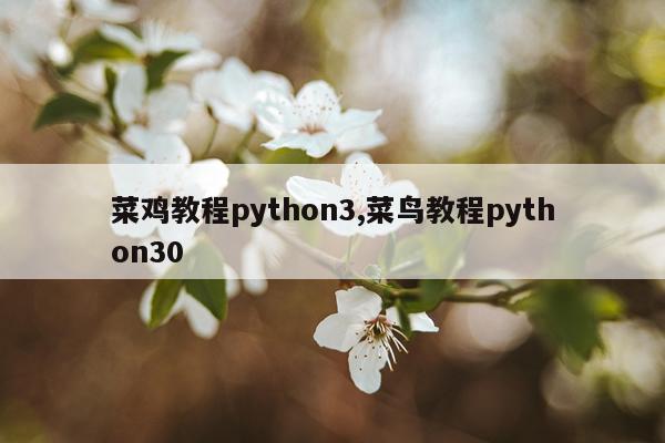 菜鸡教程python3,菜鸟教程python30