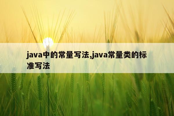 java中的常量写法,java常量类的标准写法