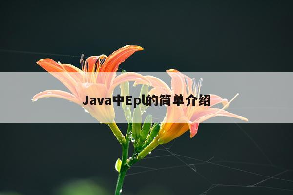 Java中Epl的简单介绍