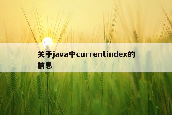 关于java中currentindex的信息