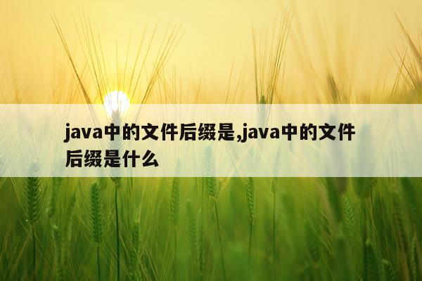 java中的文件后缀是,java中的文件后缀是什么