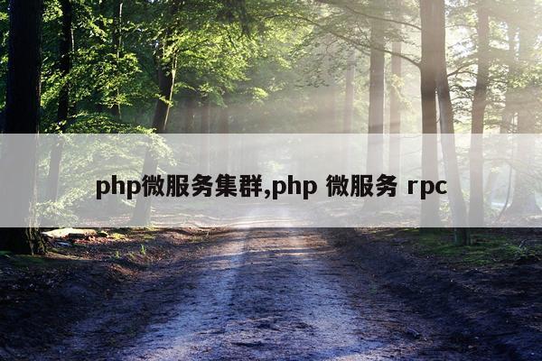 php微服务集群,php 微服务 rpc