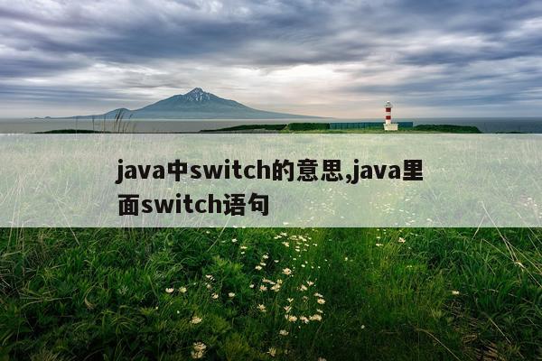 java中switch的意思,java里面switch语句