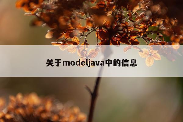 关于modeljava中的信息