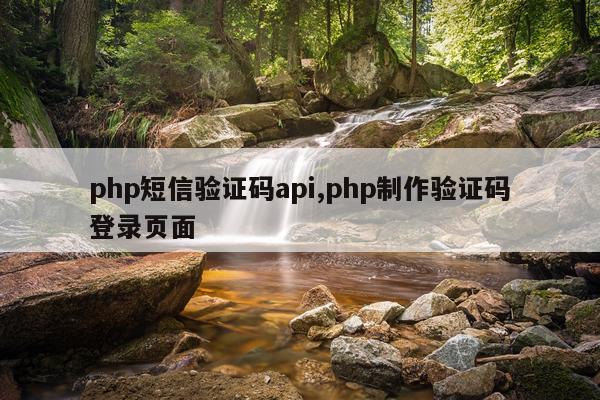php短信验证码api,php制作验证码登录页面