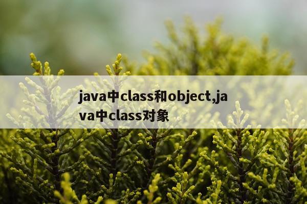 java中class和object,java中class对象