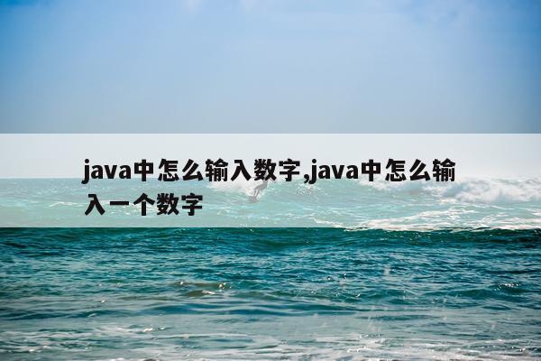 java中怎么输入数字,java中怎么输入一个数字