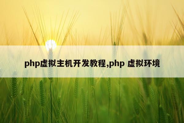 php虚拟主机开发教程,php 虚拟环境