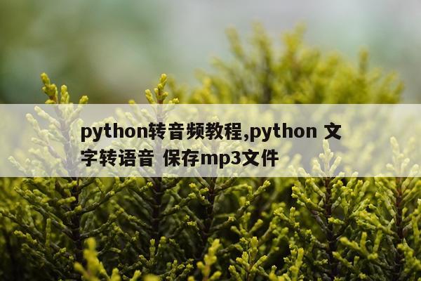python转音频教程,python 文字转语音 保存mp3文件
