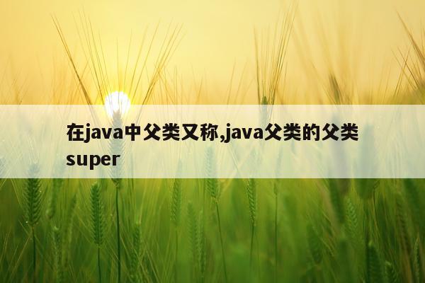在java中父类又称,java父类的父类super