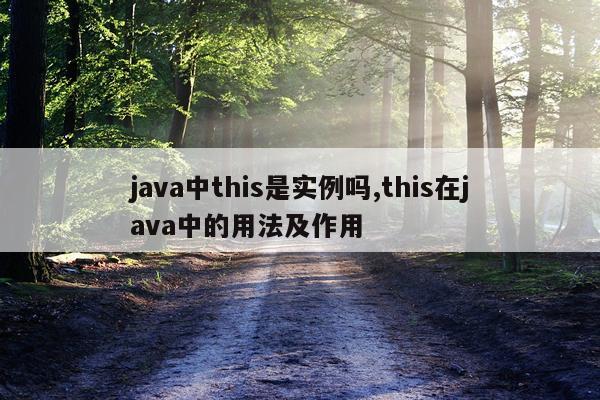 java中this是实例吗,this在java中的用法及作用