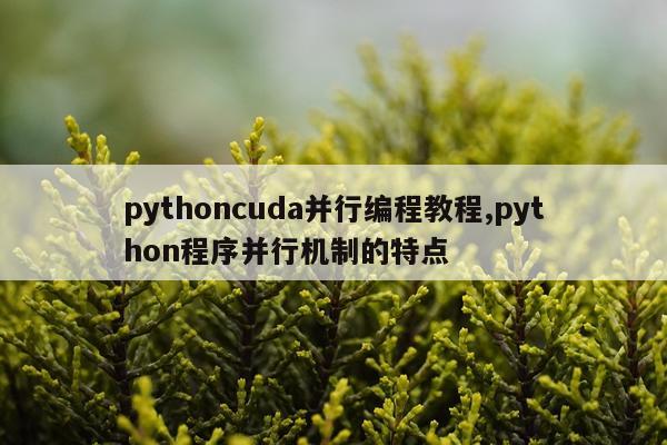 pythoncuda并行编程教程,python程序并行机制的特点
