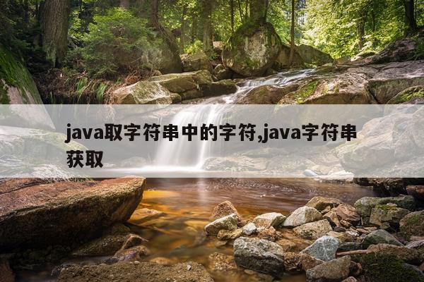 java取字符串中的字符,java字符串获取