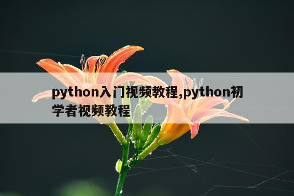 python入门视频教程,python初学者视频教程