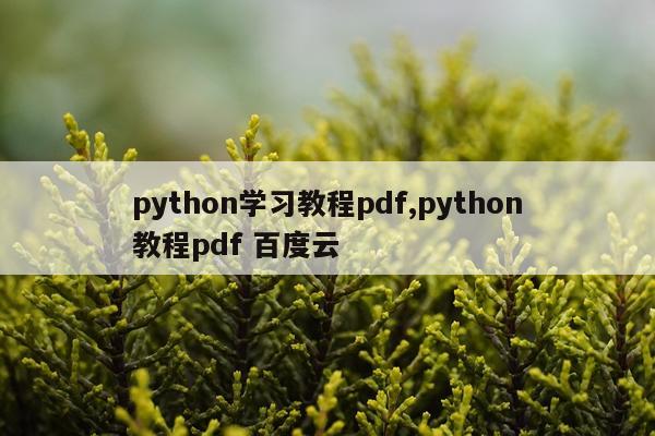 python学习教程pdf,python教程pdf 百度云