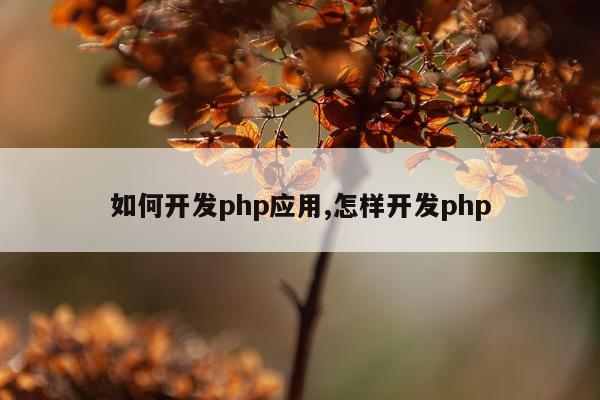 如何开发php应用,怎样开发php