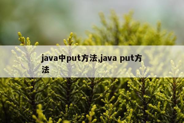 java中put方法,java put方法
