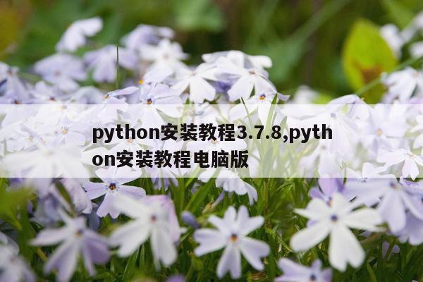 python安装教程3.7.8,python安装教程电脑版
