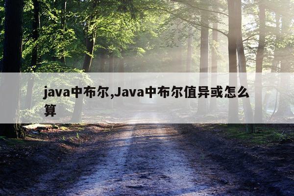 java中布尔,Java中布尔值异或怎么算