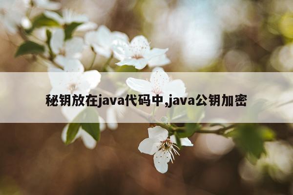 秘钥放在java代码中,java公钥加密