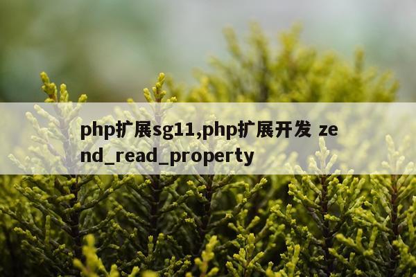 php扩展sg11,php扩展开发 zend_read_property