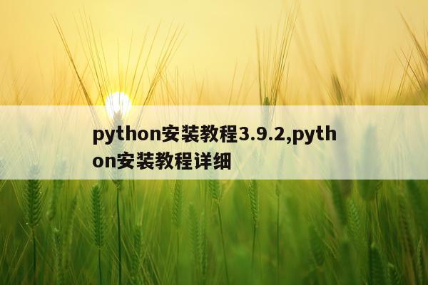 python安装教程3.9.2,python安装教程详细