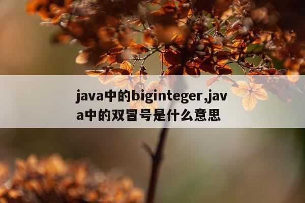 java中的biginteger,java中的双冒号是什么意思