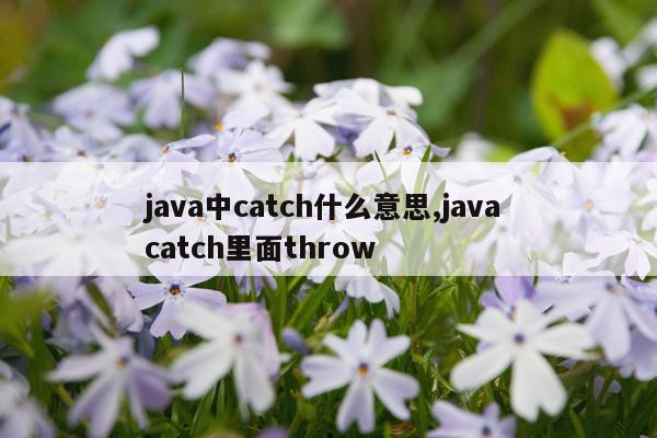 java中catch什么意思,java catch里面throw