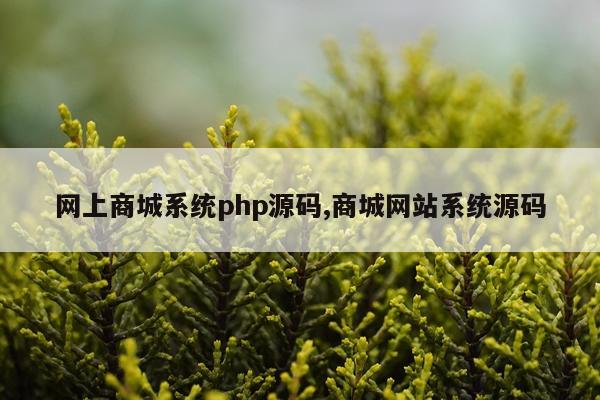 网上商城系统php源码,商城网站系统源码