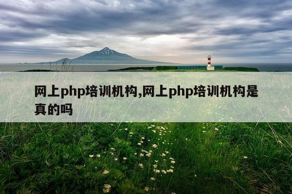 网上php培训机构,网上php培训机构是真的吗