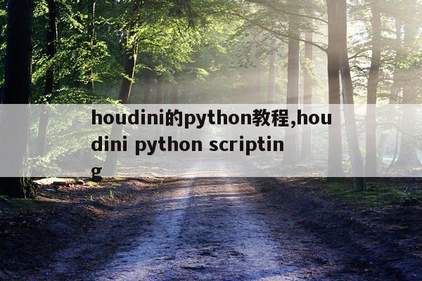 houdini的python教程,houdini python scripting