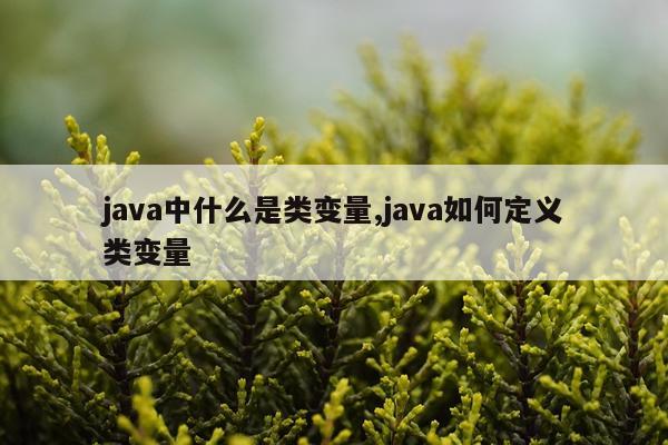 java中什么是类变量,java如何定义类变量