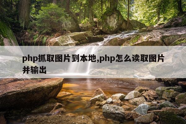 php抓取图片到本地,php怎么读取图片并输出